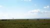 06savana