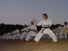karate 1067x800