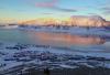 svalbard bibo 011